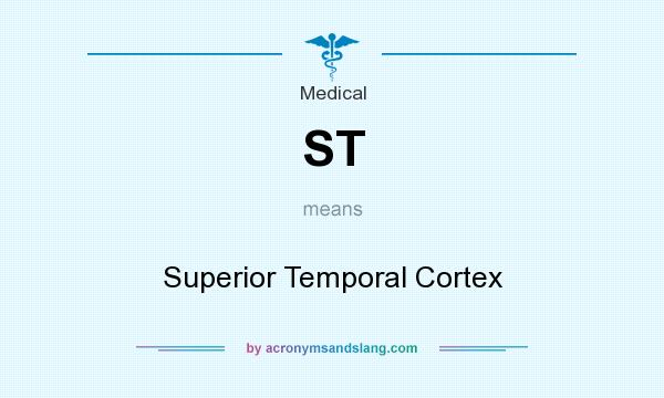 What does ST mean? It stands for Superior Temporal Cortex