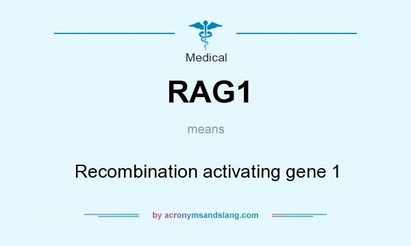 What does RAG1 mean? It stands for Recombination activating gene 1