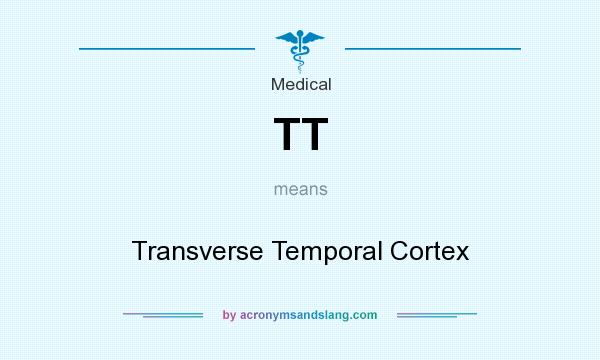What does TT mean? It stands for Transverse Temporal Cortex