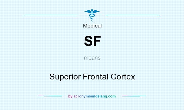 What does SF mean? It stands for Superior Frontal Cortex