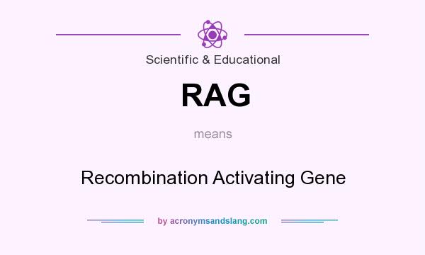 What does RAG mean? It stands for Recombination Activating Gene