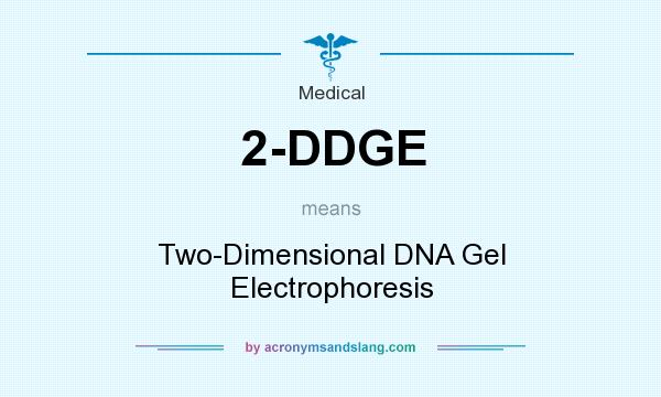 What does 2-DDGE mean? It stands for Two-Dimensional DNA Gel Electrophoresis