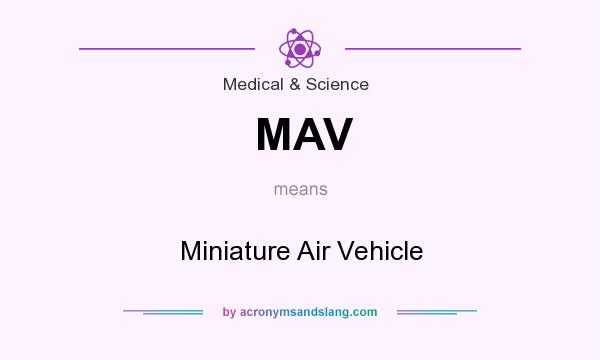 What does MAV mean? It stands for Miniature Air Vehicle