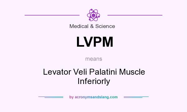 What does LVPM mean? It stands for Levator Veli Palatini Muscle Inferiorly