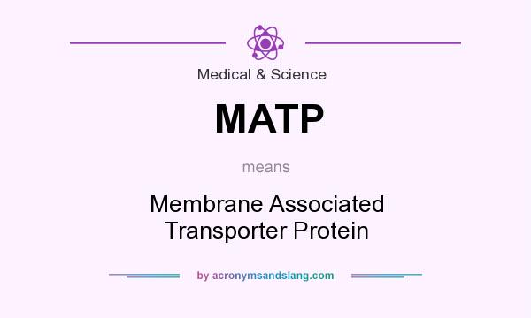 What does MATP mean? It stands for Membrane Associated Transporter Protein