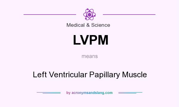 What does LVPM mean? It stands for Left Ventricular Papillary Muscle