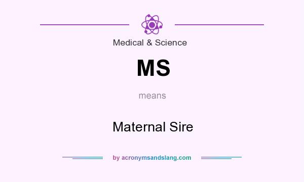 What does MS mean? It stands for Maternal Sire