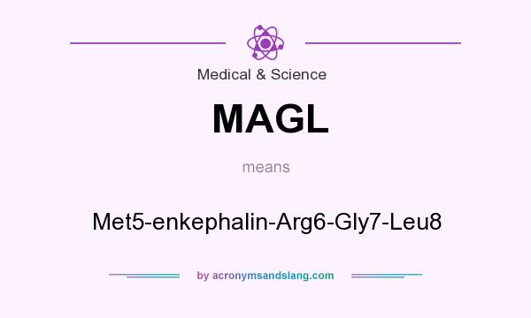 What does MAGL mean? It stands for Met5-enkephalin-Arg6-Gly7-Leu8