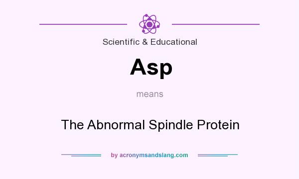 What does Asp mean? It stands for The Abnormal Spindle Protein