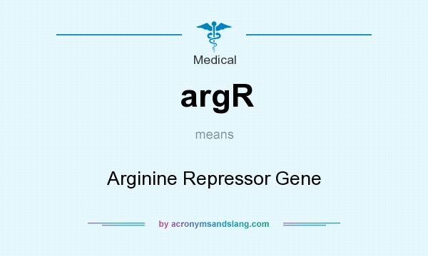 What does argR mean? It stands for Arginine Repressor Gene