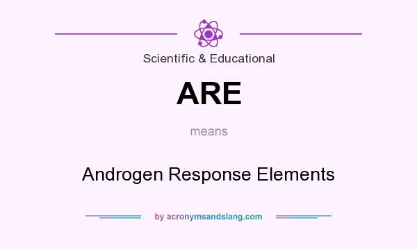 What does ARE mean? It stands for Androgen Response Elements