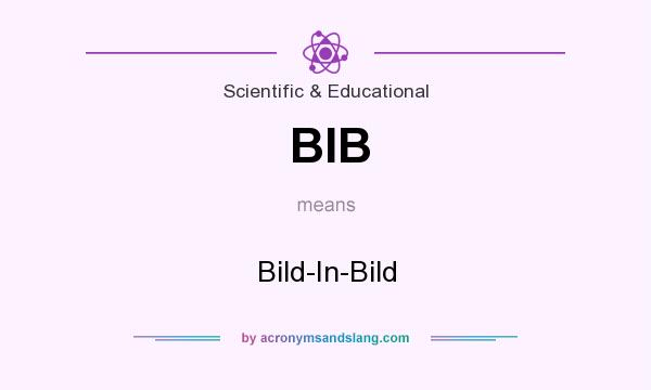 What does BIB mean? It stands for Bild-In-Bild