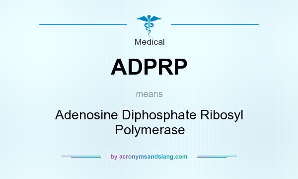 What does ADPRP mean? It stands for Adenosine Diphosphate Ribosyl Polymerase