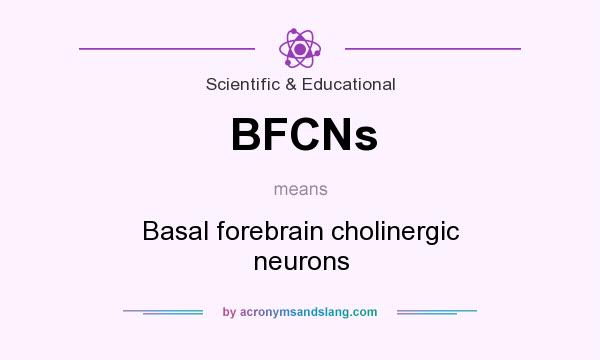 What does BFCNs mean? It stands for Basal forebrain cholinergic neurons