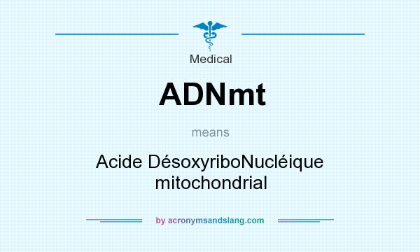 What does ADNmt mean? It stands for Acide DésoxyriboNucléique mitochondrial