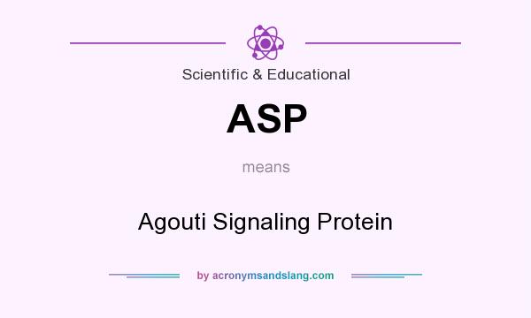 What does ASP mean? It stands for Agouti Signaling Protein