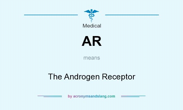 What does AR mean? It stands for The Androgen Receptor