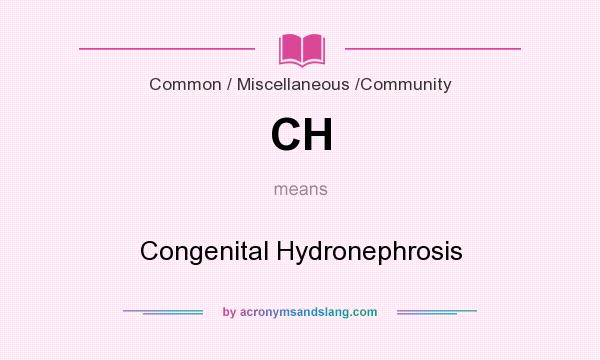 What does CH mean? It stands for Congenital Hydronephrosis