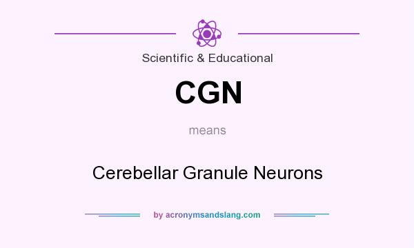 What does CGN mean? It stands for Cerebellar Granule Neurons