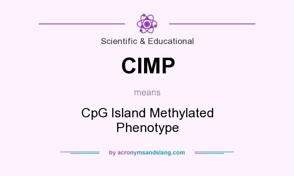 What does CIMP mean? It stands for CpG Island Methylated Phenotype
