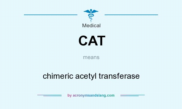 What does CAT mean? It stands for chimeric acetyl transferase