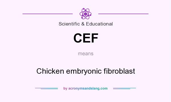 What does CEF mean? It stands for Chicken embryonic fibroblast