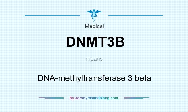 What does DNMT3B mean? It stands for DNA-methyltransferase 3 beta