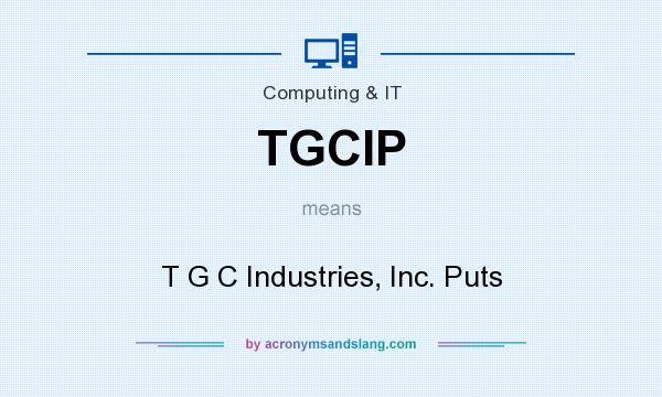 What does TGCIP mean? It stands for T G C Industries, Inc. Puts
