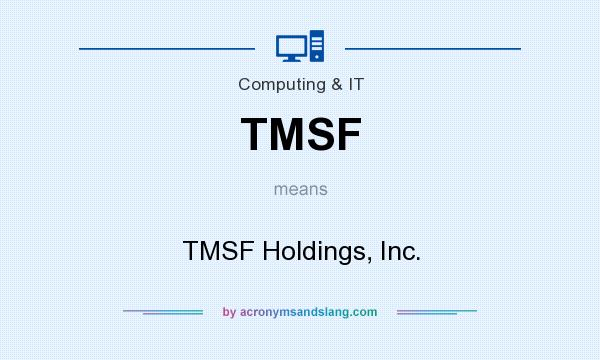 What does TMSF mean? It stands for TMSF Holdings, Inc.