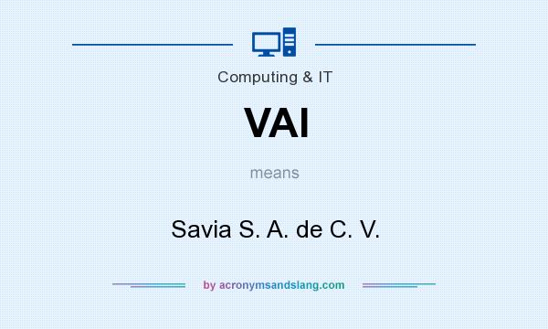 What does VAI mean? It stands for Savia S. A. de C. V.