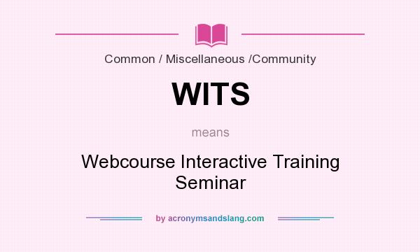 What does WITS mean? It stands for Webcourse Interactive Training Seminar