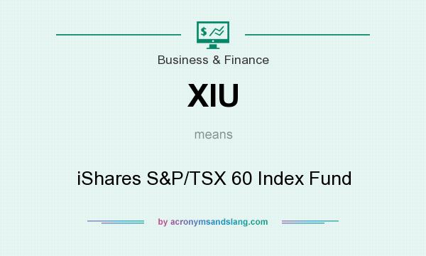 What does XIU mean? It stands for iShares S&P/TSX 60 Index Fund