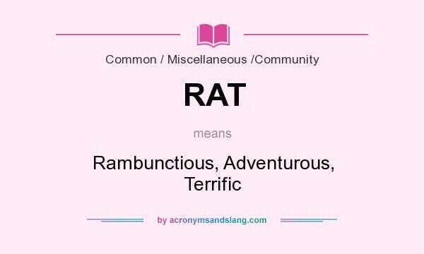 What does RAT mean? It stands for Rambunctious, Adventurous, Terrific