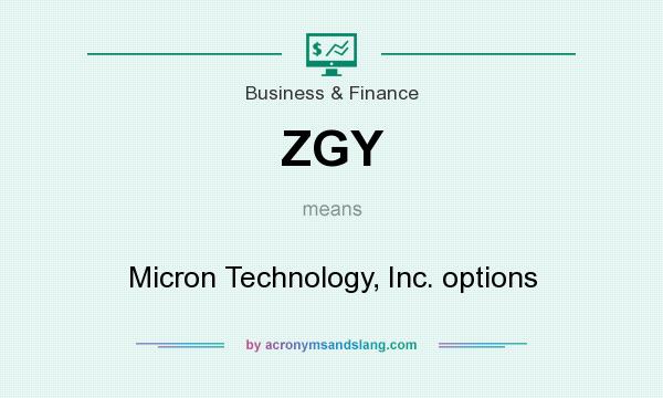 What does ZGY mean? It stands for Micron Technology, Inc. options