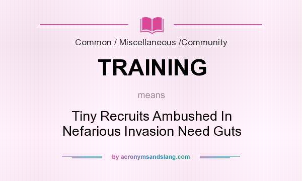 What does TRAINING mean? It stands for Tiny Recruits Ambushed In Nefarious Invasion Need Guts