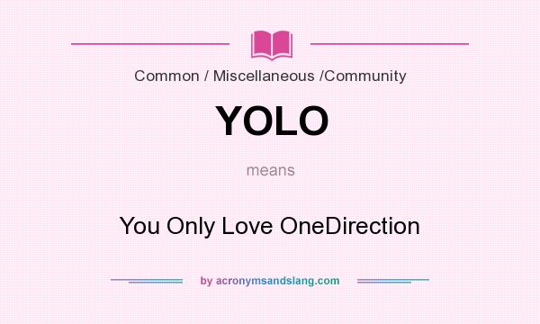 What does YOLO mean? It stands for You Only Love OneDirection