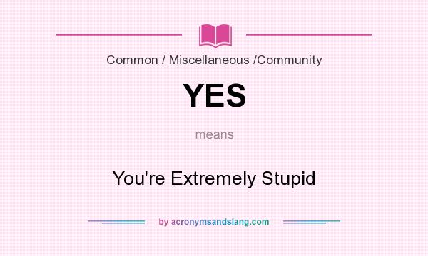 What does YES mean? It stands for You`re Extremely Stupid