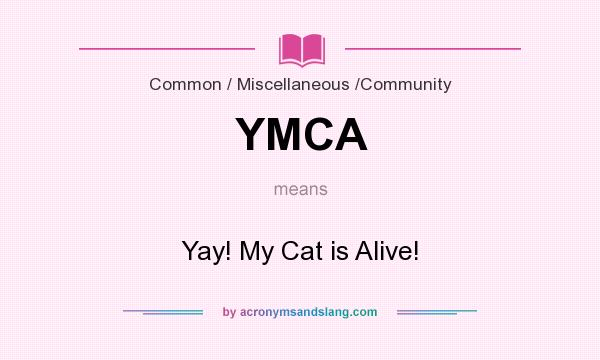 What does YMCA mean? It stands for Yay! My Cat is Alive!