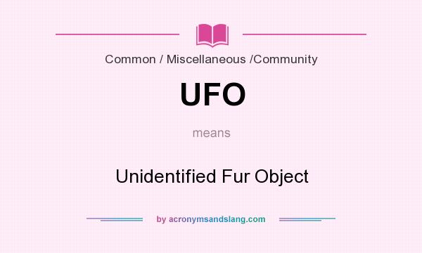 What does UFO mean? It stands for Unidentified Fur Object