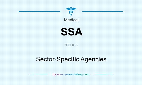 What does SSA mean? It stands for Sector-Specific Agencies