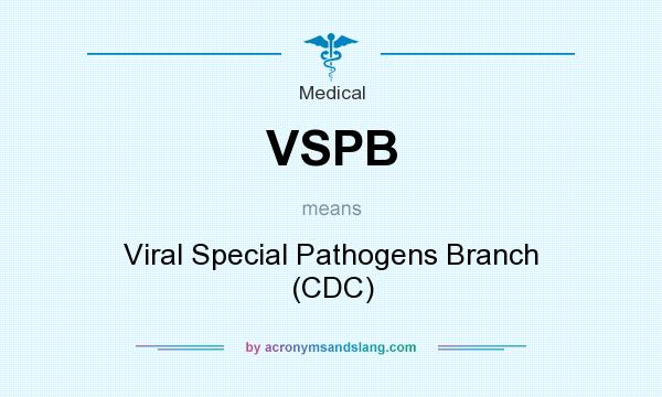 What does VSPB mean? It stands for Viral Special Pathogens Branch (CDC)