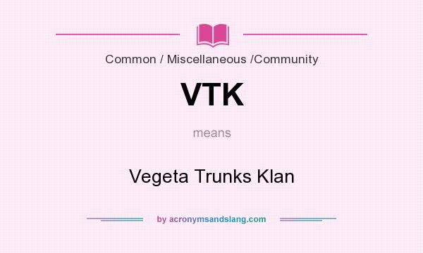 What does VTK mean? It stands for Vegeta Trunks Klan