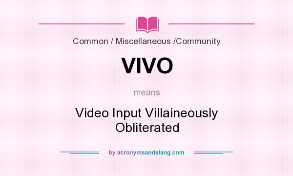 What does VIVO mean? It stands for Video Input Villaineously Obliterated
