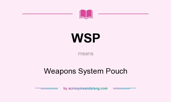 What does WSP mean? It stands for Weapons System Pouch
