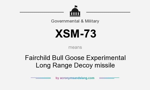 What does XSM-73 mean? It stands for Fairchild Bull Goose Experimental Long Range Decoy missile