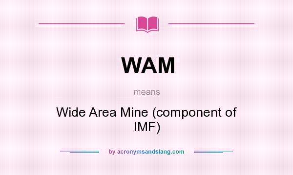 What does WAM mean? It stands for Wide Area Mine (component of IMF)