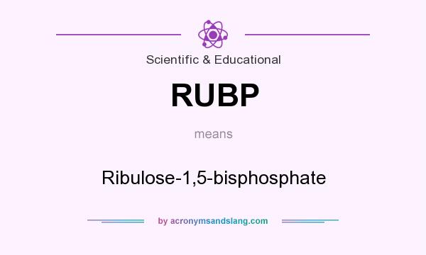 What does RUBP mean? It stands for Ribulose-1,5-bisphosphate