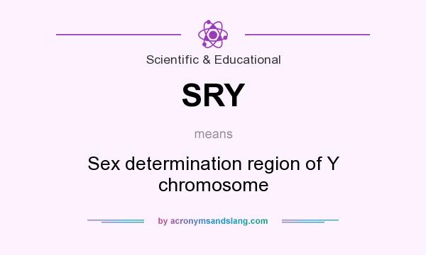 What does SRY mean? It stands for Sex determination region of Y chromosome