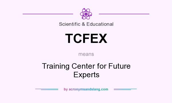 What does TCFEX mean? It stands for Training Center for Future Experts