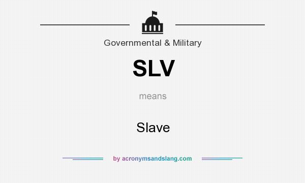 What does SLV mean? It stands for Slave